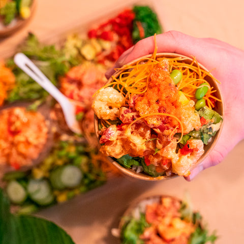 Plateau Poké à partager