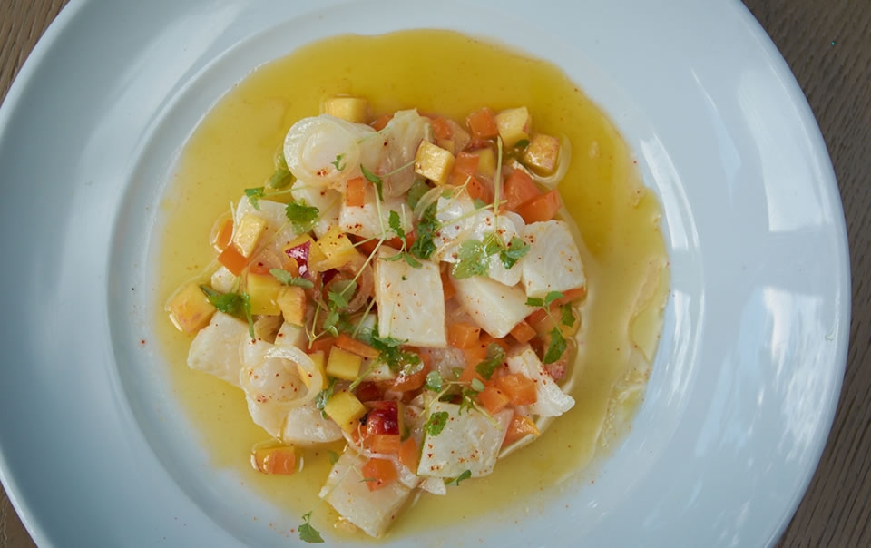 Turbot ceviche