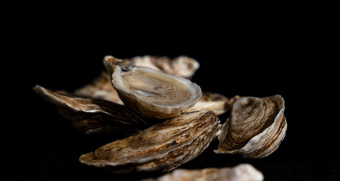 Mythe ou réalité ? L’huître aphrodisiaque