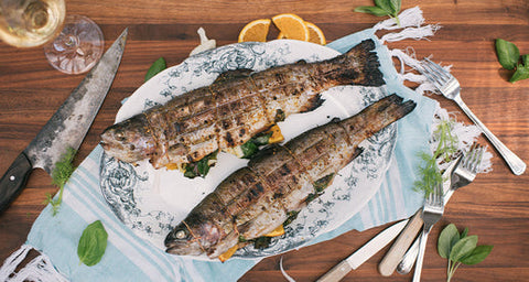 Truite grillée au fenouil, à l’orange et au basilic