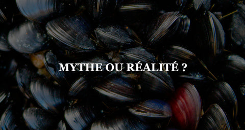 Démystification des Mythes sur les Moules