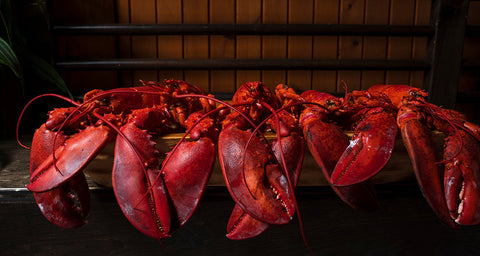 Le guide ultime de cuisson du homard