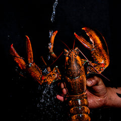 Homard – Les Poissonneries Odessa